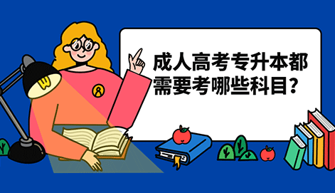 成人高考專升本都需要考哪些科目？