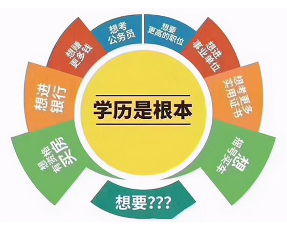新疆成考資料教材查找方法是什么（復習指南）