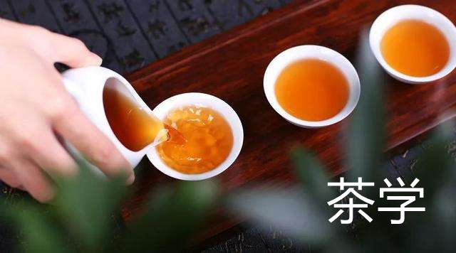 新疆成考專升本《茶學》專業介紹