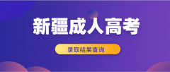 2021新疆成人高考錄取查詢入口